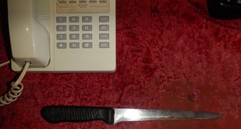 Житель Саранска ударил брата ножом, вымыл оружие и лег спать