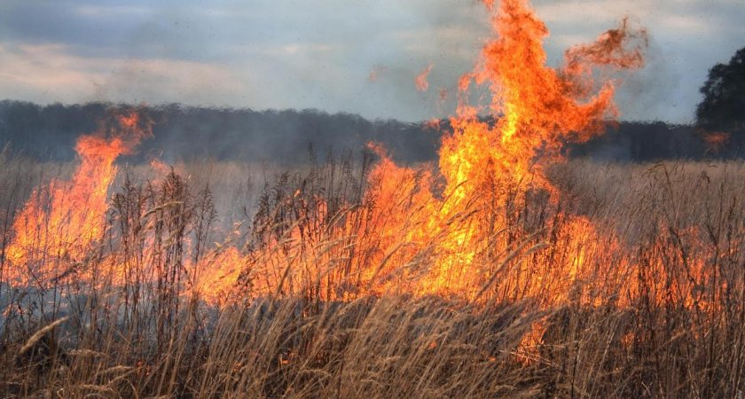 В Мордовии несколько домов пострадали из-за горящей сухой травы