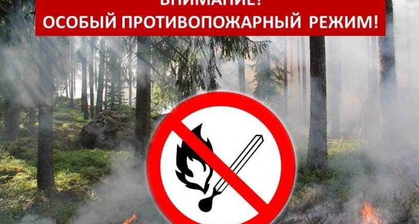 На территории Мордовии введен особый противопожарный режим: что нельзя делать?