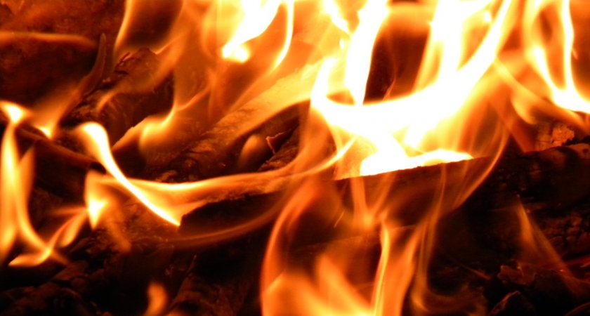 В Мордовии произошел пожар в хвойном лесу