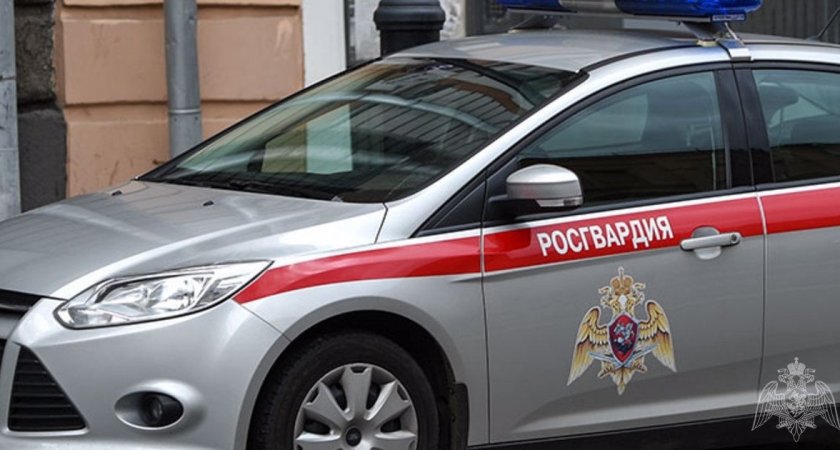 В Ромоданово сотрудники Росгвардии задержали пьяного водителя