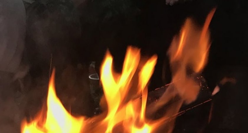 В Мордовии был пожар на птицефабрике