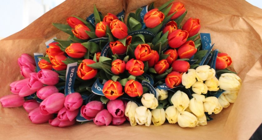 Конец одиночеству: знаки зодиака, которые встретят любовь в конце сентября