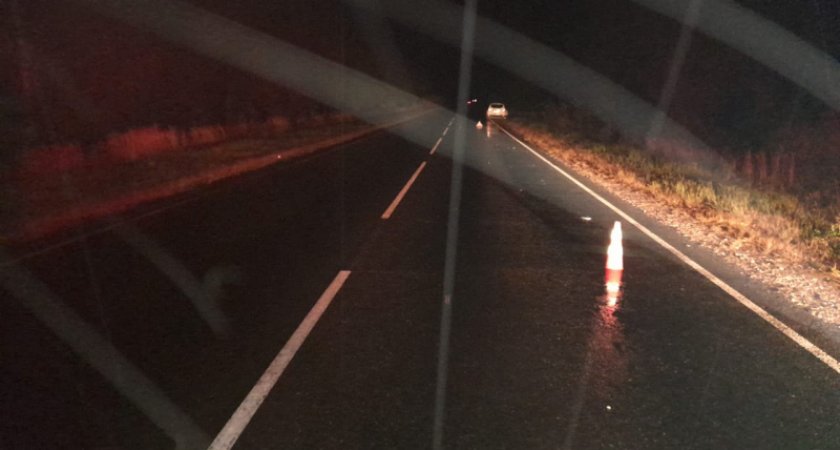 В Мордовии водитель иномарки сбил пешехода