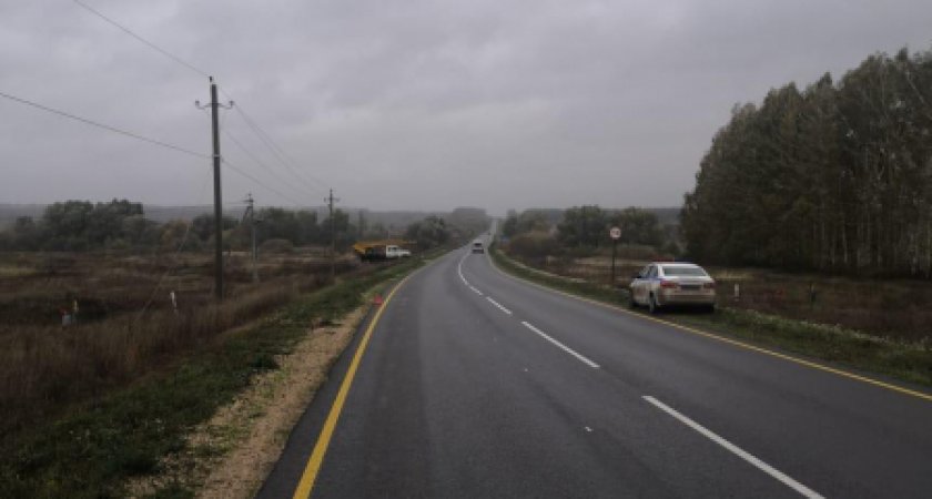 В Мордовии произошло ДТП, в котором пострадал человек