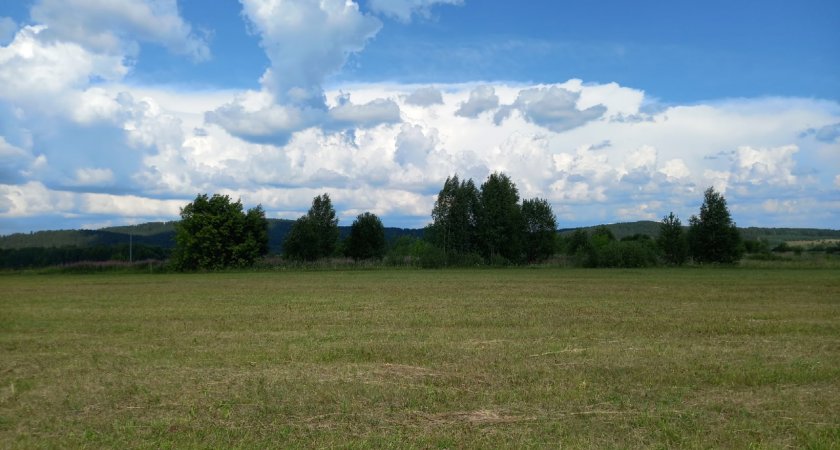 Чиновник из Мордовии «забыл» указать 5 земельных участков в сведениях об имуществе