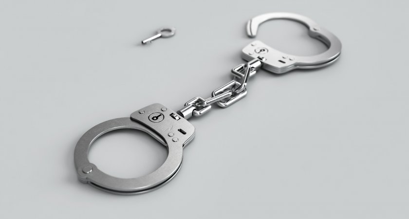 В Мордовии арестовали мужчину, обвиняемого в краже телефона