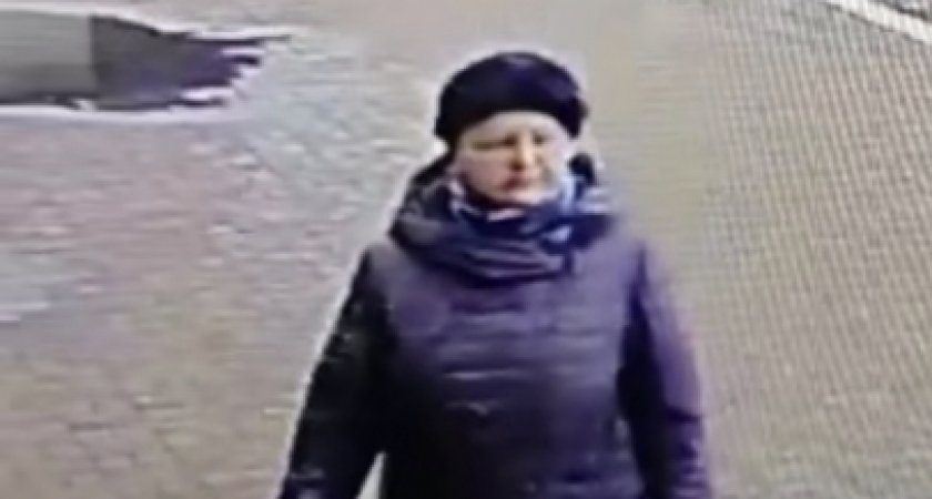 В Мордовии ищут женщину, которая причастна к краже 44 тысяч рублей
