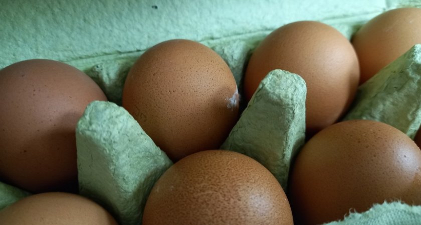 В Мордовии пошли на спад цены на яйца и курицу