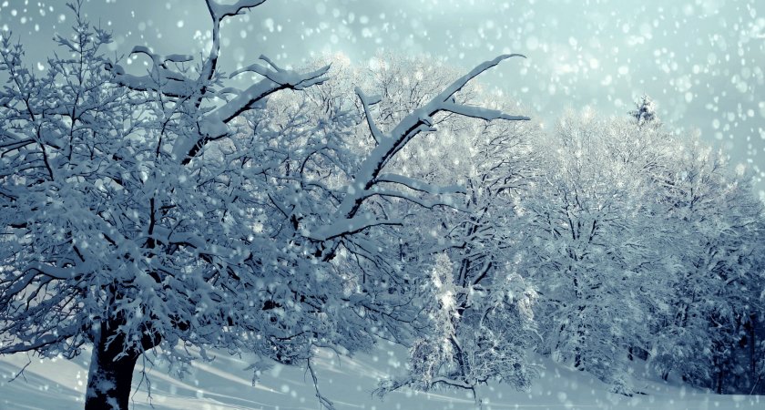 Синоптики рассказали о погоде в Мордовии на ближайшие дни