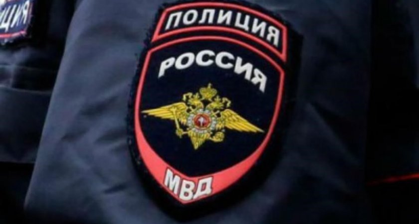 Мужчина из Мордовии выплатит штраф за насилие над патрульным