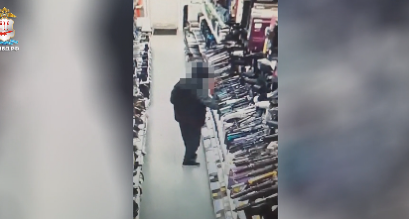 В Мордовии установили подозреваемого в девяти эпизодах краж из сетевых магазинов