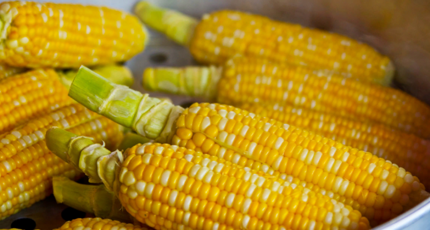 В российских супермаркетах обнаружили кукурузу с кишащими бактериями