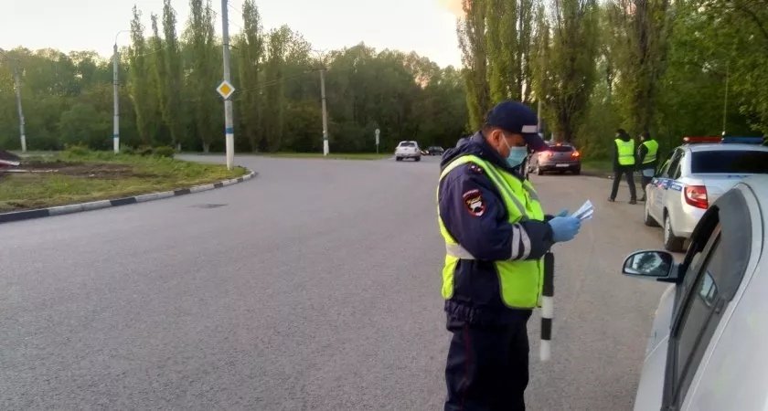В Мордовии за сутки поймали 15 пьяных водителей