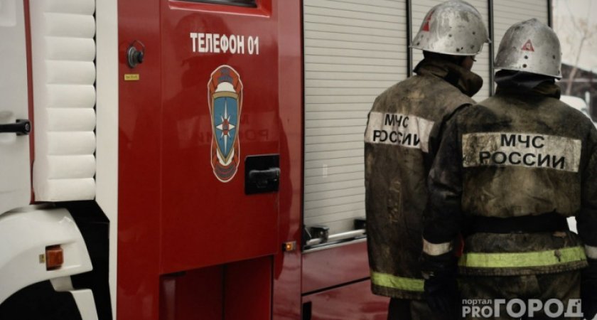 В Мордовии загорелась пристройка с бродячими кошками внутри