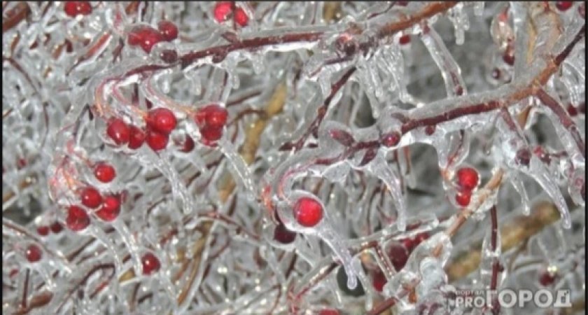Обрушатся ледяные дожди: жителей Саранска напугали прогнозом погоды на ближайшие дни