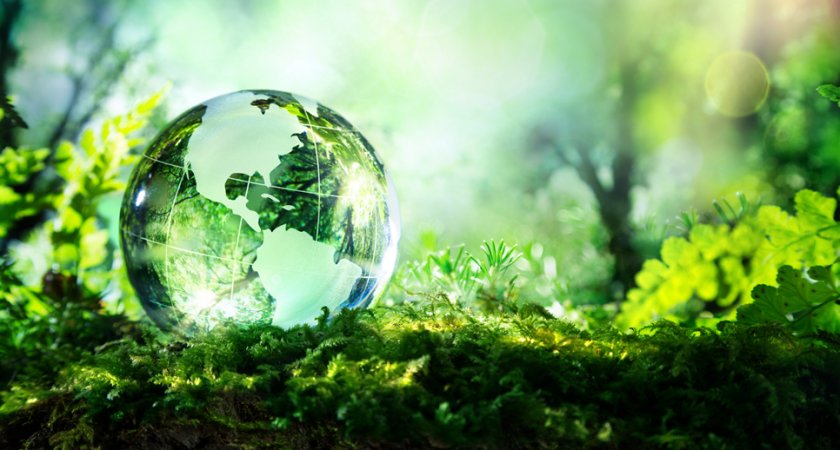 РСХБ и Росприроднадзор договорились о проведении совместных мероприятий в сфере экологии 