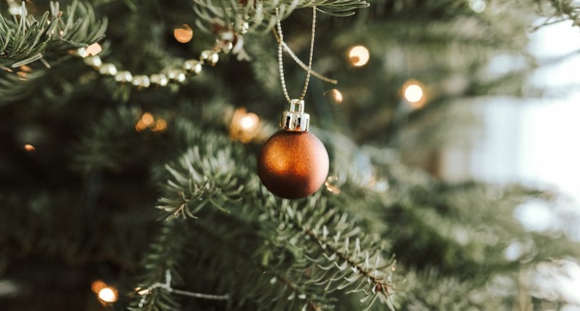 24 декабря в Саранске откроют главную елку