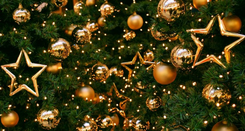 На главной новогодней елке Саранска зажглись огни