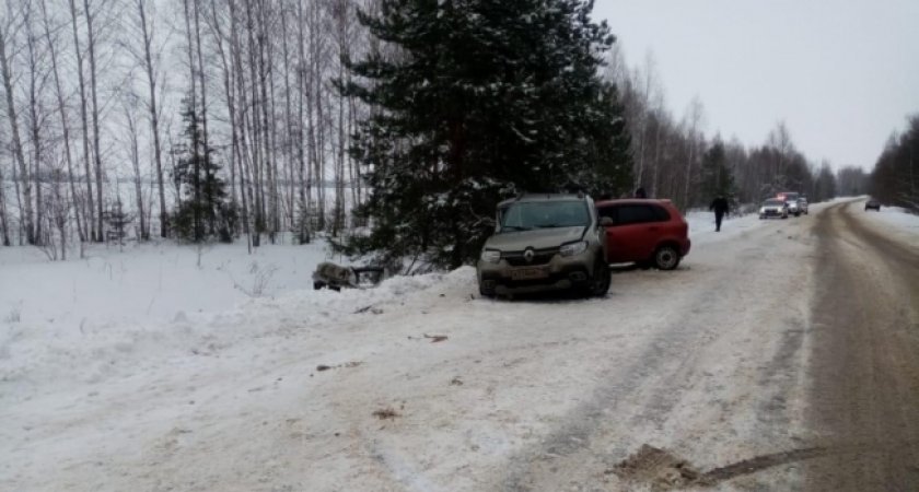 В Темниковском районе Мордовии столкнулись два автомобиля