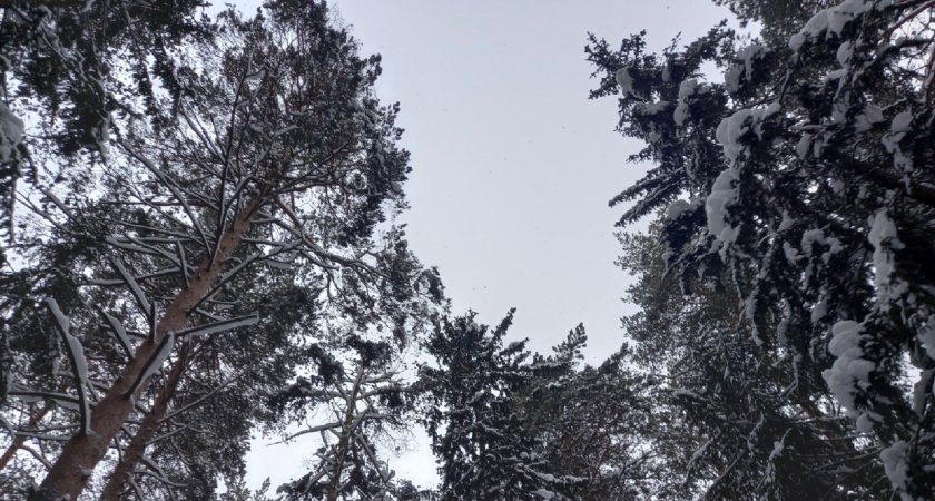 В Мордовии 9 января температура опуститься до -32 градусов