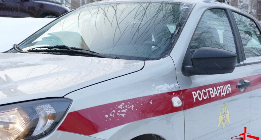 В Мордовии росгвардейцы задержали двух воров