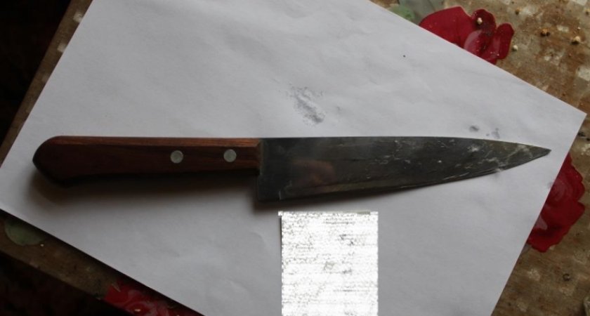 Житель Мордовии вонзил нож в грудь приятеля перед Новым годом из-за сигарет
