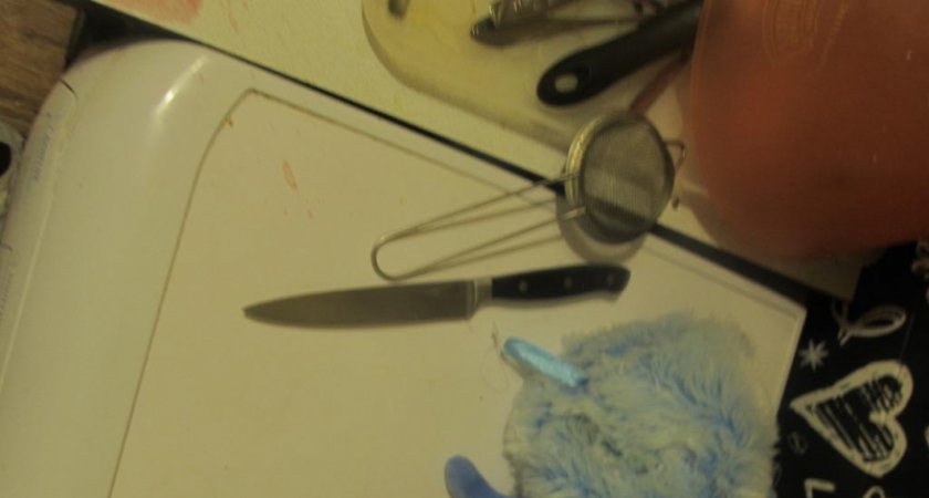 Жительница Саранска вонзила нож в спину приятеля во время ссоры