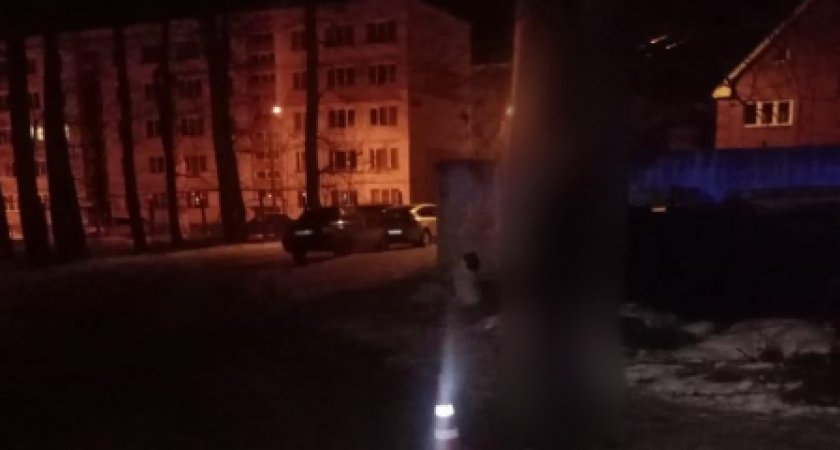 Житель Мордовии сбил подростка и сбежал с места ДТП
