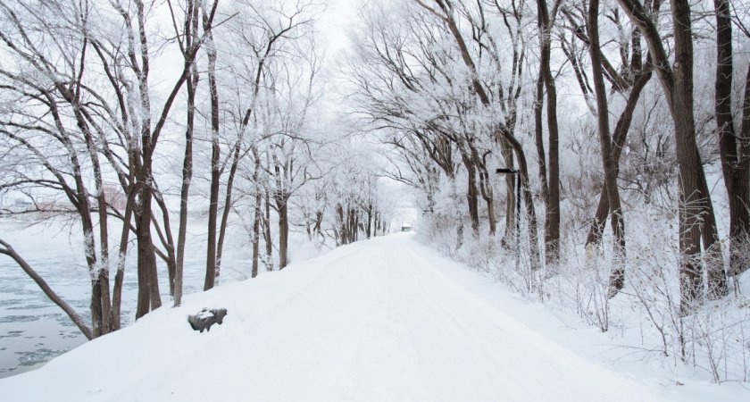 В Мордовии 3 февраля ожидается снегопад