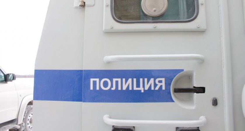 За прошлую неделю в Мордовии произошло 18 краж