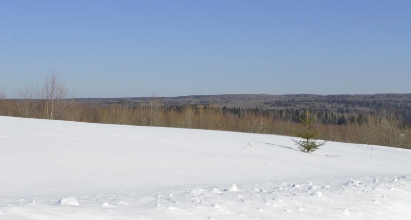 В Мордовии 10 февраля ожидается мокрый снег и -12 градусов