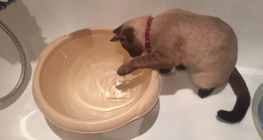 В Саранске в домах на Волгоградской отключат холодную воду