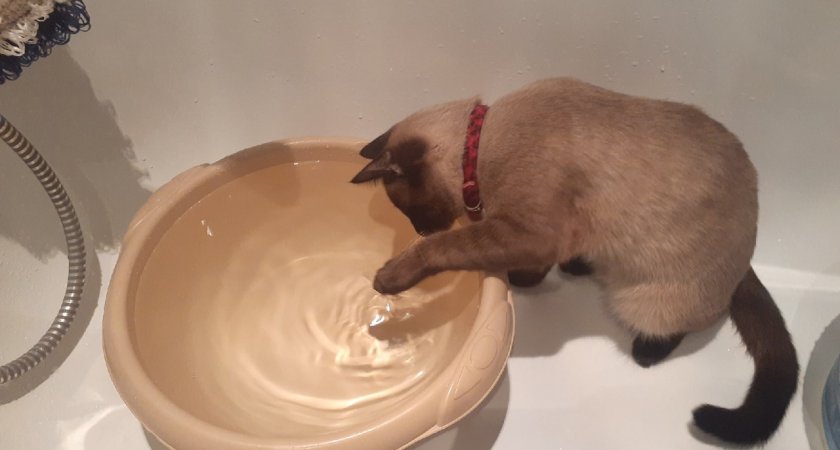 В Саранске на Цыганском восстанавливают водоснабжение