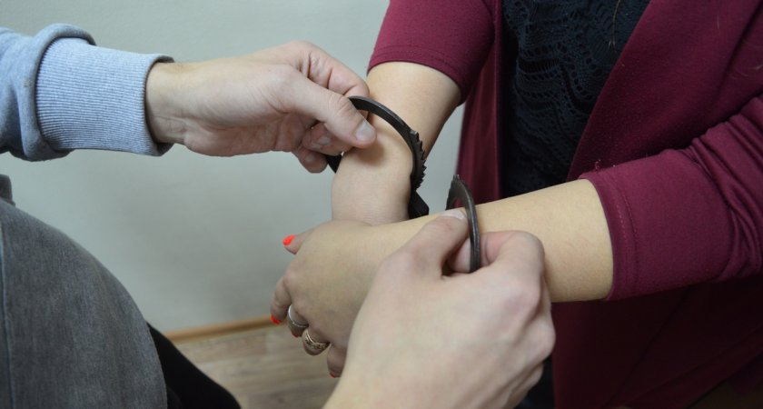 В Саранске местная жительница получила срок за оскорбление полицейского