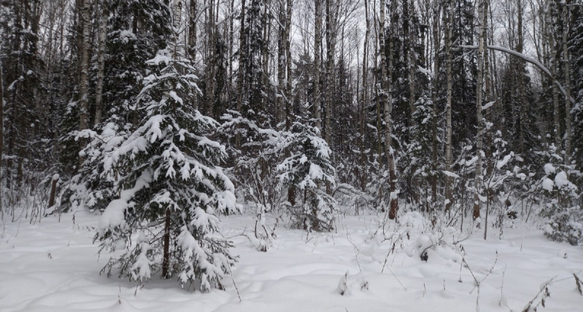 В Мордовии 8 марта ожидается метель и низкое атмосферное давление