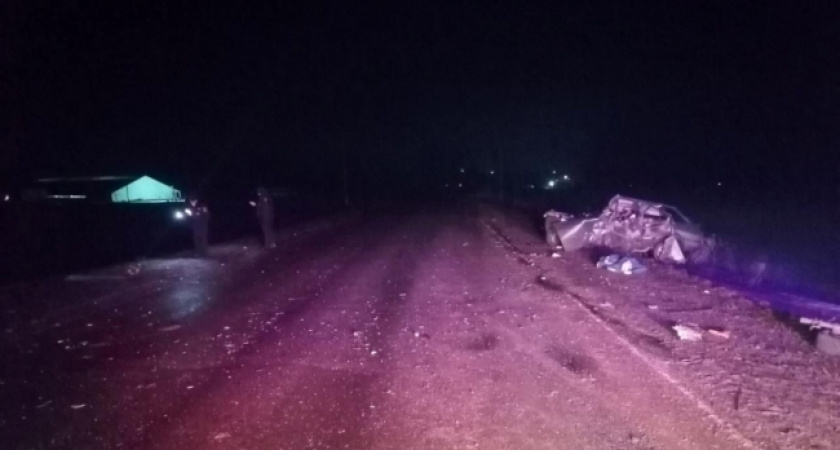 В Мордовии на границе с Чувашией произошло смертельное ДТП