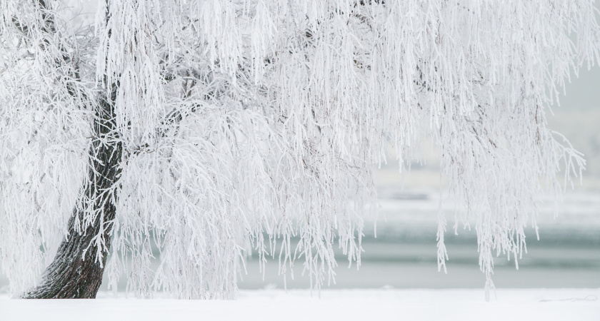 В Мордовии объявили оперативное предупреждение из-за ветра и снега