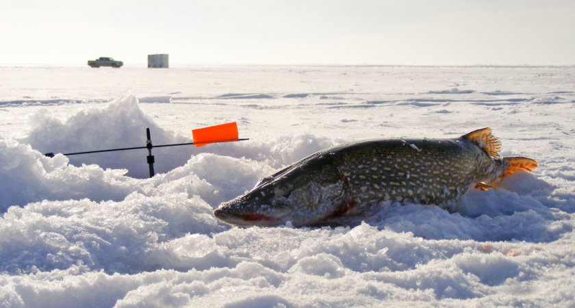 Рыбакам из Мордовии запретили выходить на лед