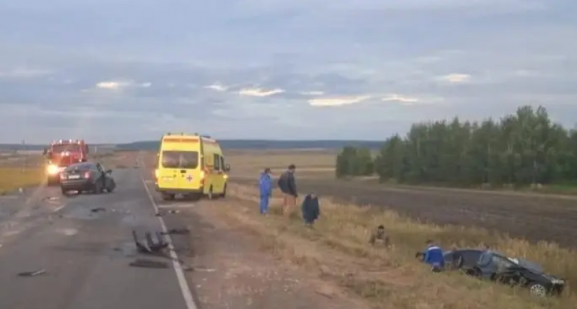 Полиция РМ ищет очевидцев ДТП на трассе «Саранск — Кочкурово — граница Пензенской области»