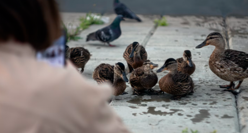 В Мордовии 5 апреля потеплеет до +18 градусов