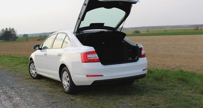 С 6 апреля будут лишать прав на год: у водителей будут искать всего один предмет 