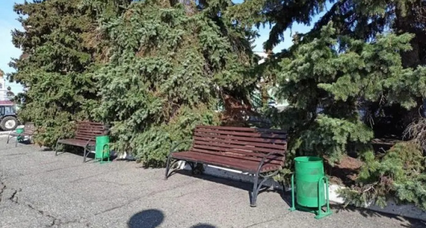 В Саранске установят новые урны для мусора