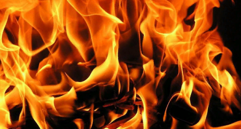 Два человека погибли при пожаре в дачном домике в Мордовии 