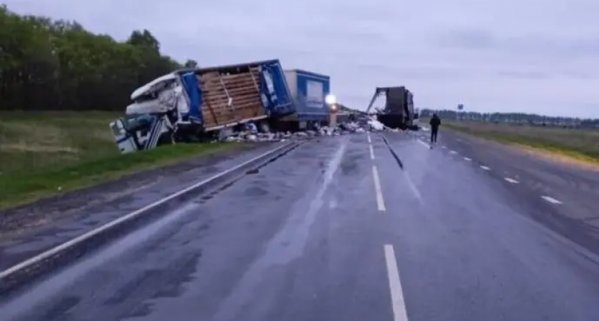 Два грузовика столкнулись на трассе в Мордовии, один из дальнобойщиков скончался