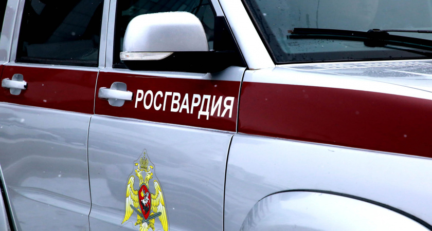 Пьяная жительница Саранска размахивала ножом и угрожала убить мужа