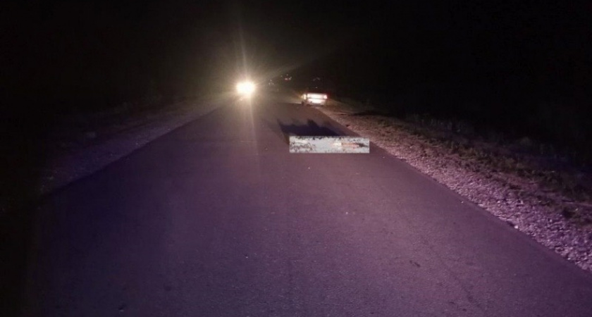 В Мордовии молодой водитель ВАЗа сбил пешехода и бросил умирать