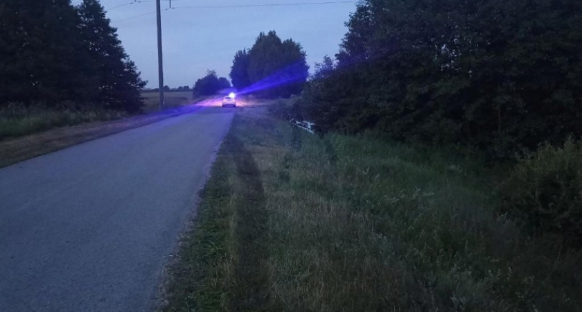 Молодой водитель «Волги» устроил ДТП на трассе Саранск — Сурское — Ульяновск