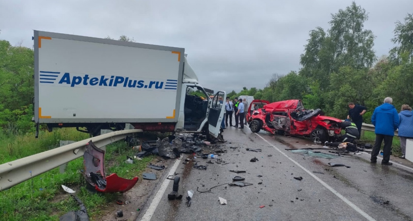 В результате ДТП в Ельниковском районе Мордовии погибла 37-летняя женщина