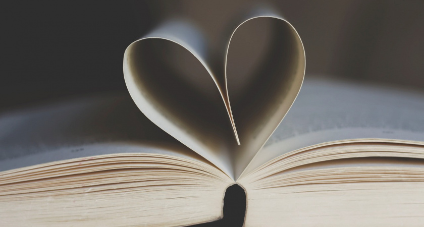 В районах Мордовии летом 2023 года откроются три модельные библиотеки